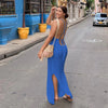Tassel Mesh Dress
